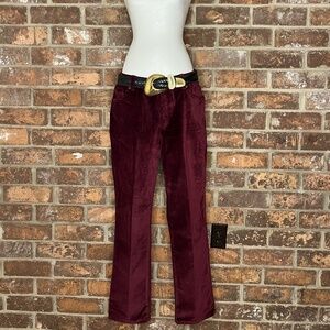 Jeanology Burgundy Velvet Pants